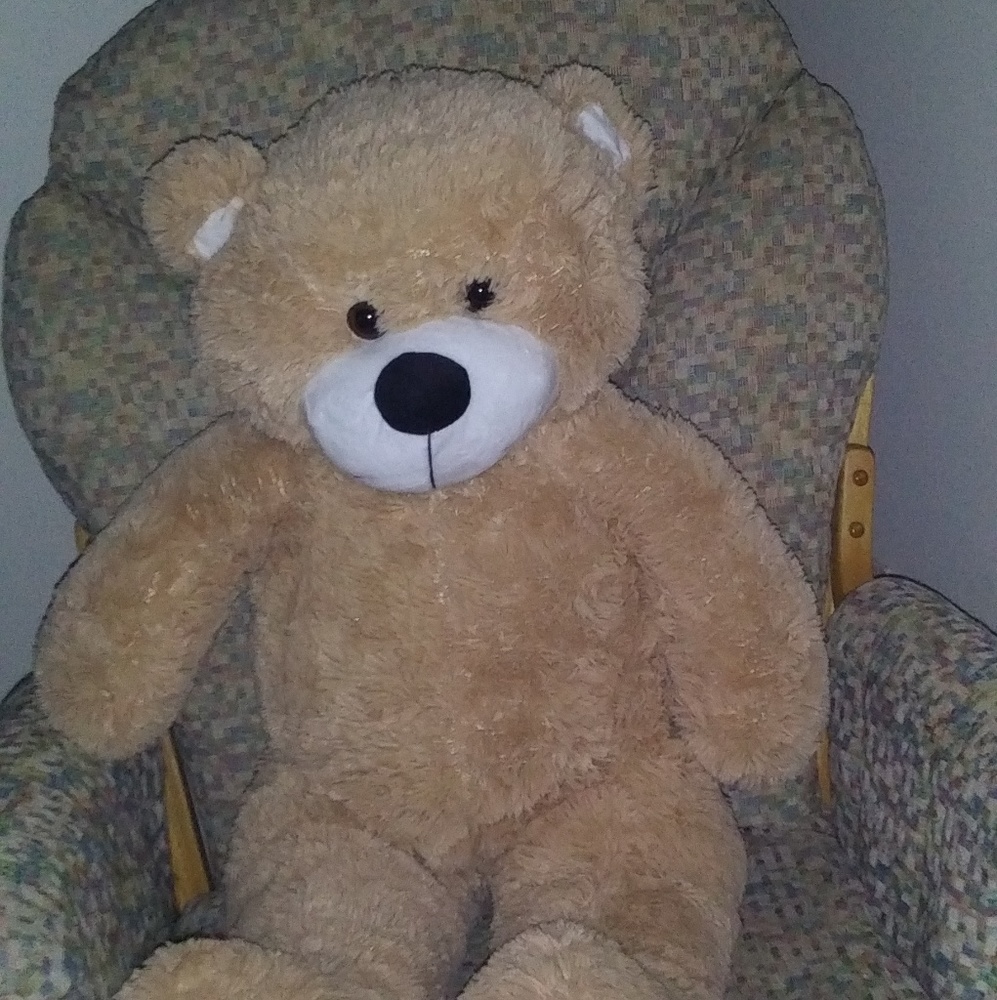 GIANT TEDDY BEAR